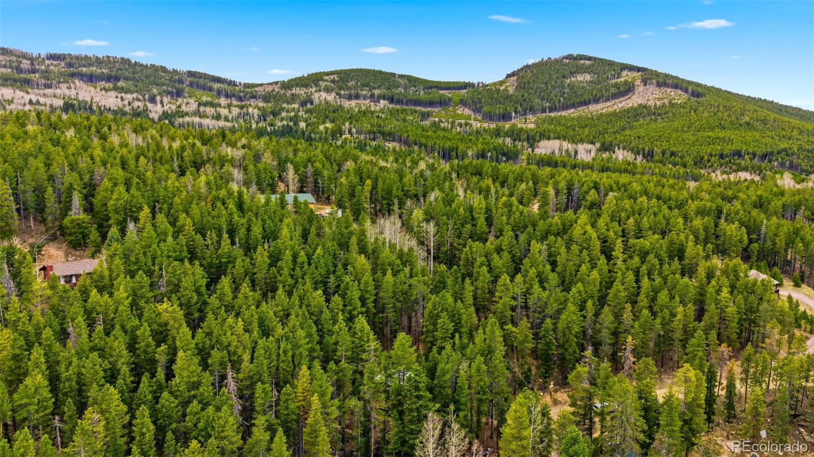 MLS Image #24 for 154  apache road,evergreen, Colorado