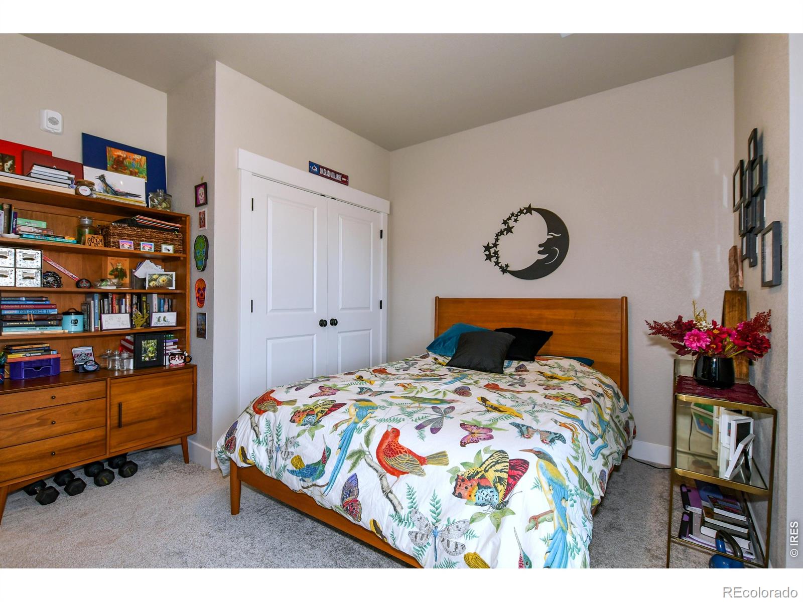 MLS Image #22 for 3425  triano creek drive,loveland, Colorado