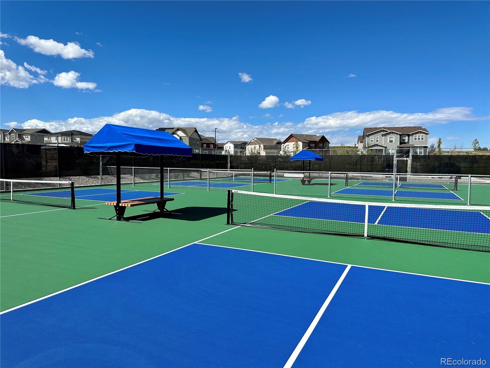 MLS Image #30 for 13998  shasta daisy street,parker, Colorado