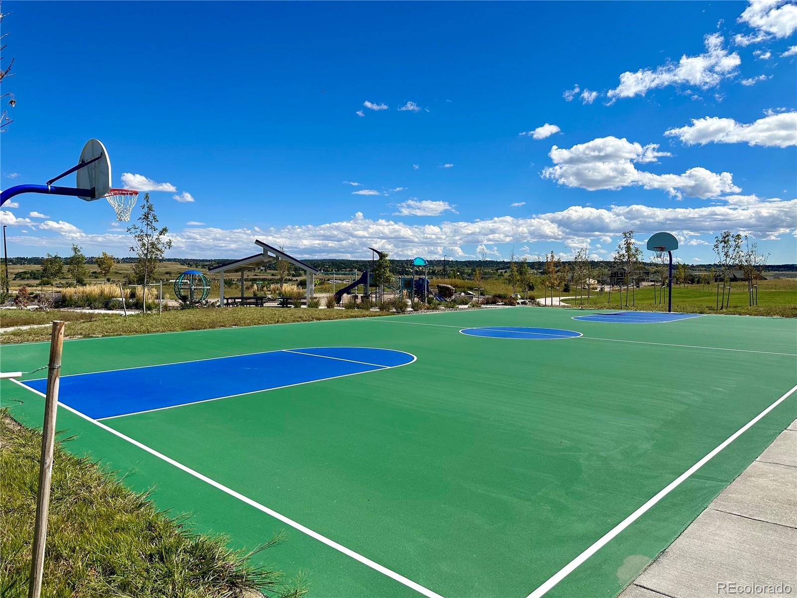 MLS Image #31 for 13998  shasta daisy street,parker, Colorado