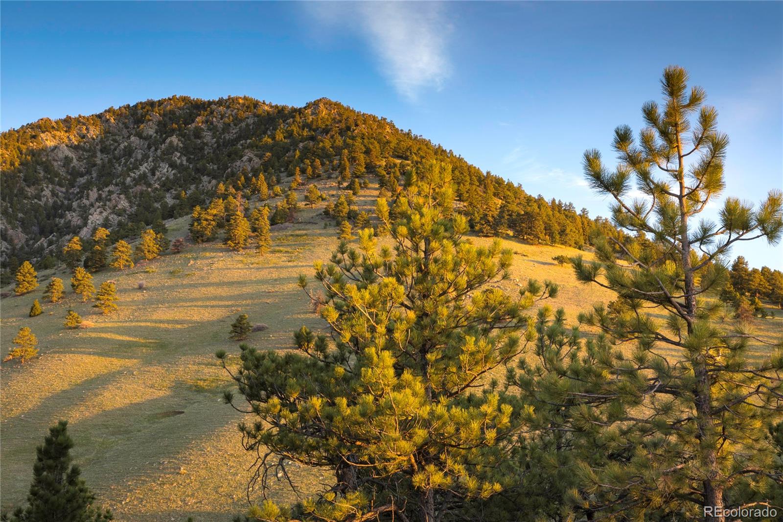 MLS Image #9 for 1 n ridgway road,arvada, Colorado