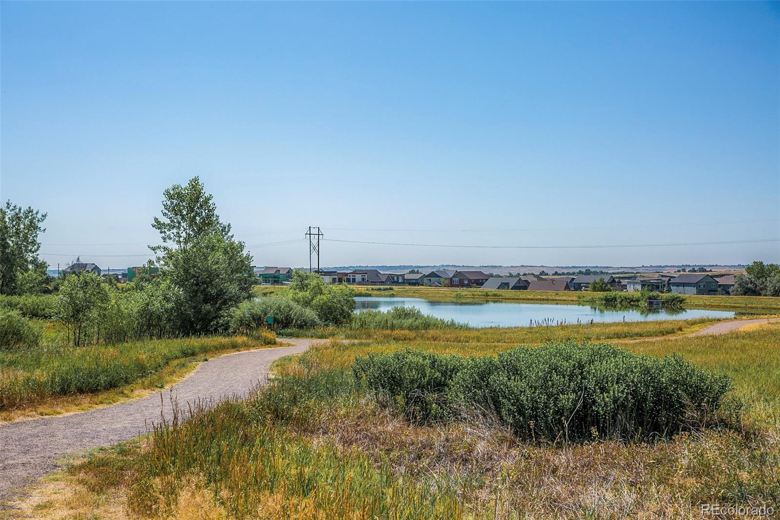 MLS Image #31 for 1320  snowberry lane,louisville, Colorado