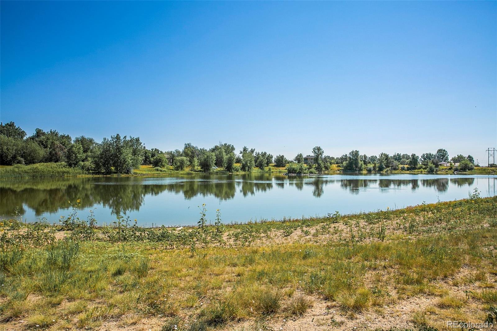 MLS Image #32 for 1320  snowberry lane,louisville, Colorado
