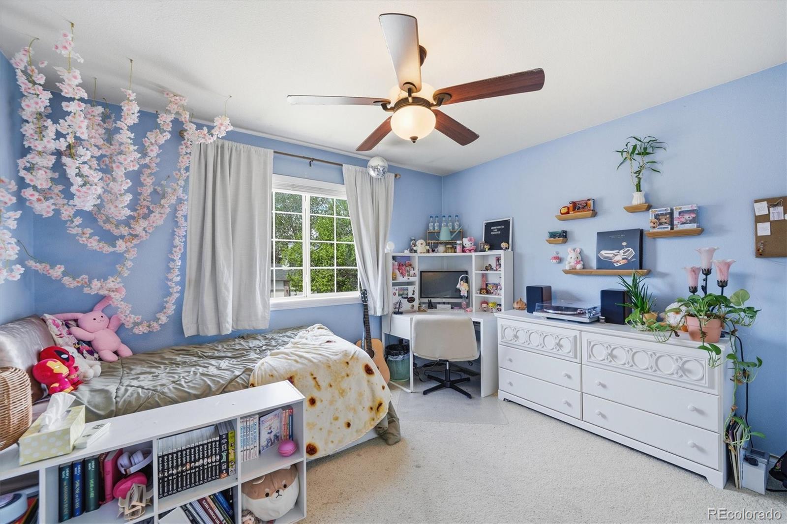 MLS Image #21 for 12204 n ivanhoe court,brighton, Colorado