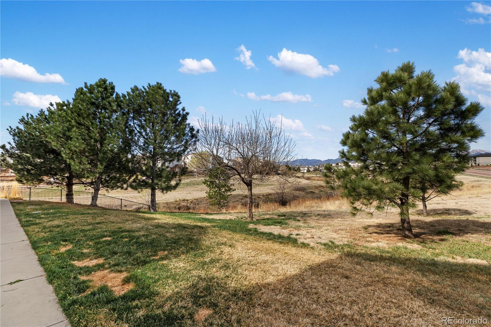 MLS Image #5 for 7309  sandy springs point,fountain, Colorado