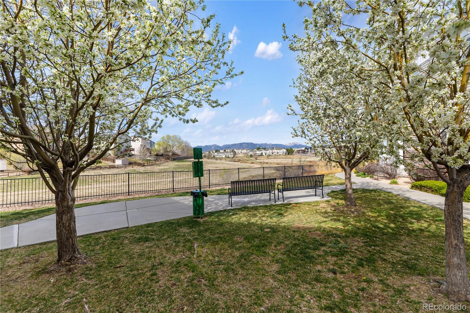MLS Image #8 for 7309  sandy springs point,fountain, Colorado