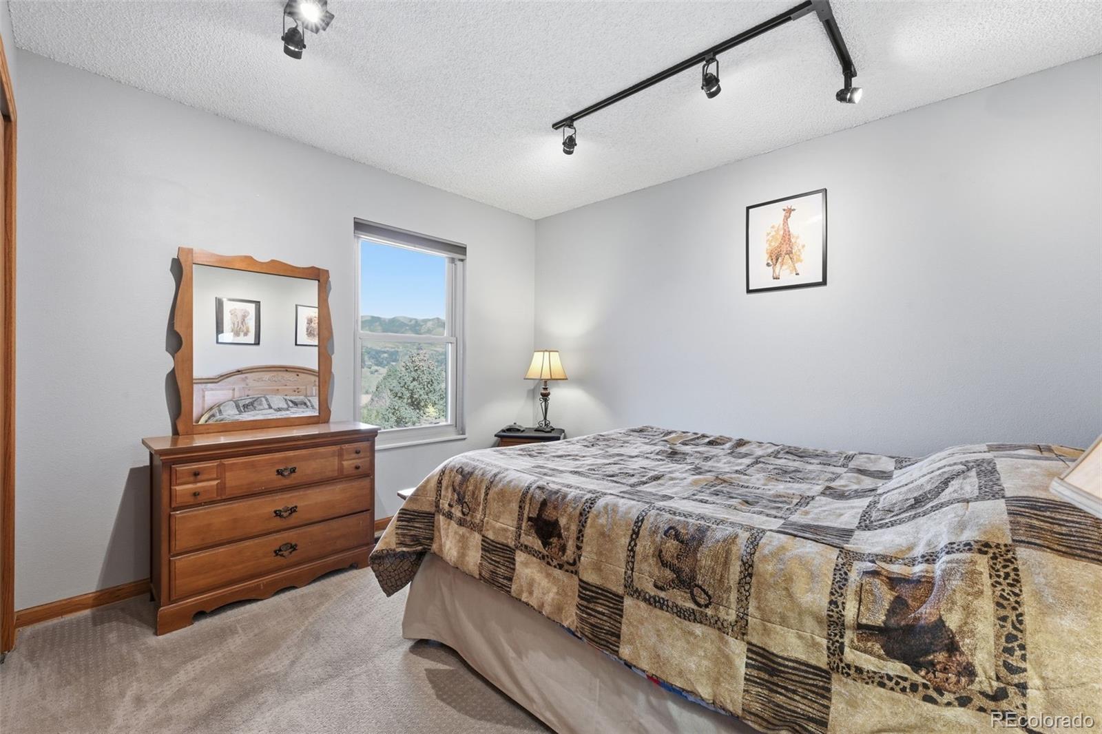 MLS Image #22 for 6364  galway drive,colorado springs, Colorado