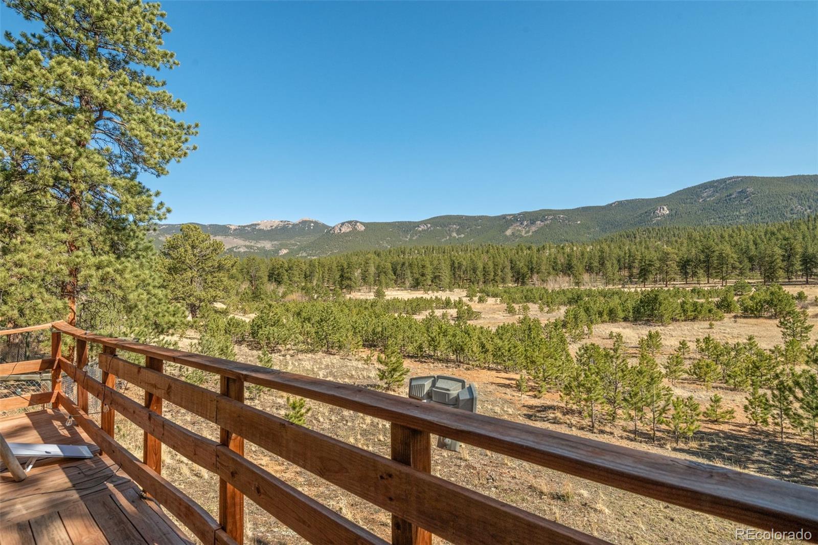 MLS Image #10 for 88  neal street,bailey, Colorado