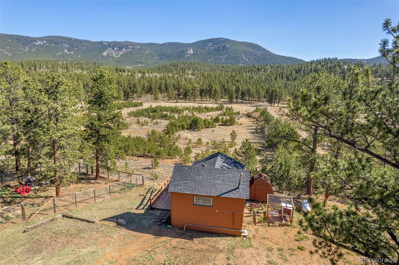 MLS Image #12 for 88  neal street,bailey, Colorado
