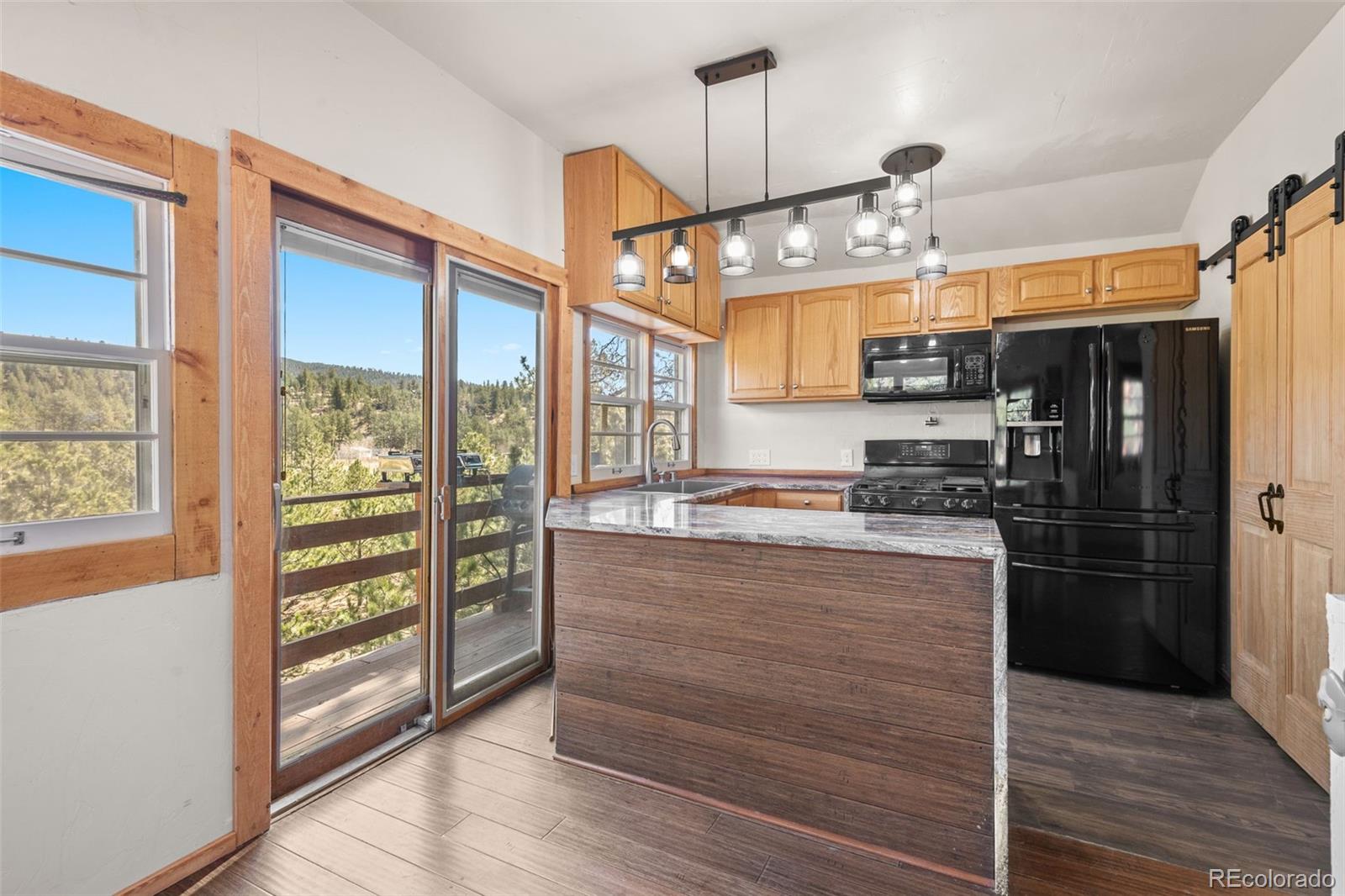 MLS Image #3 for 88  neal street,bailey, Colorado
