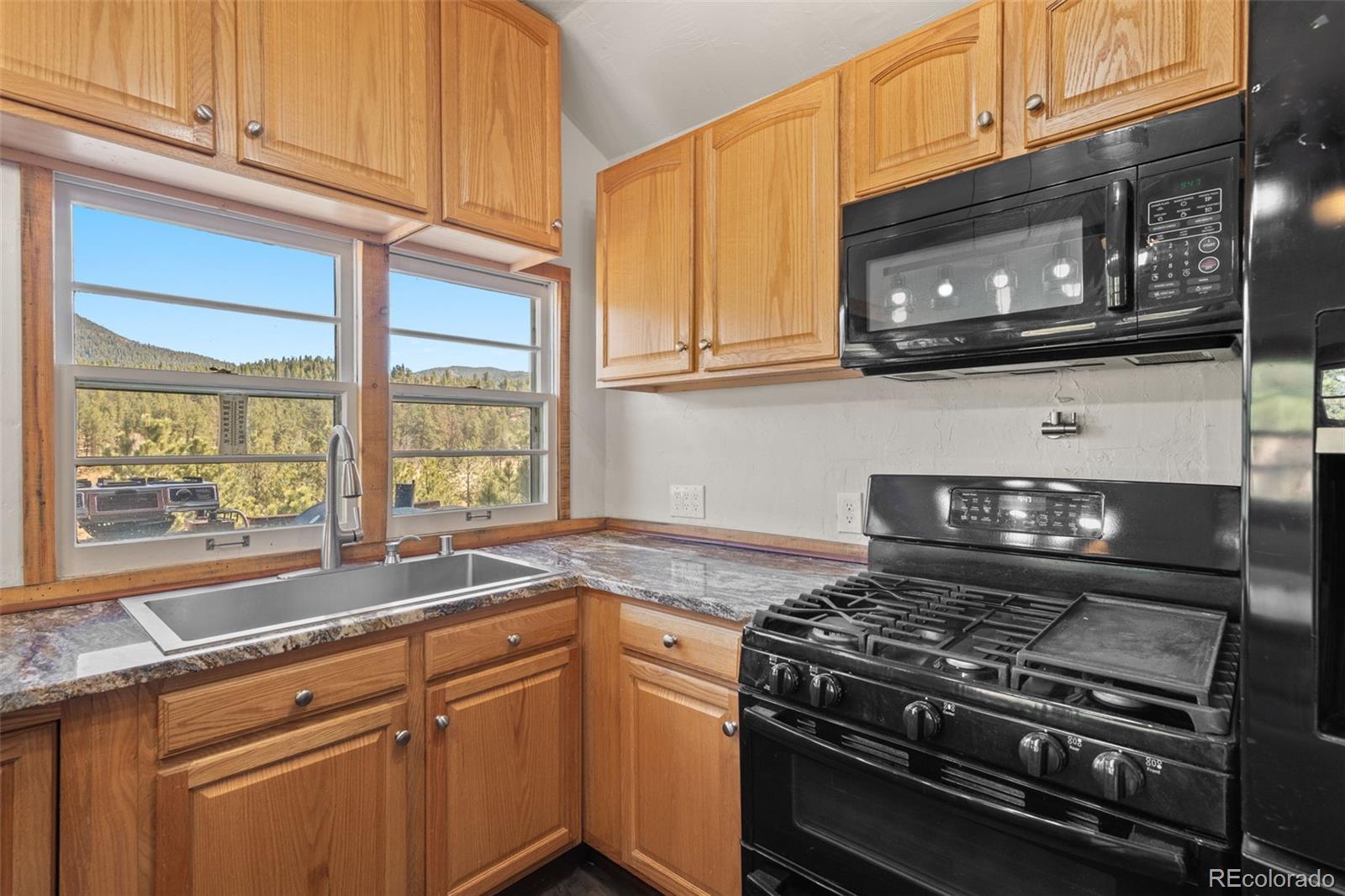 MLS Image #5 for 88  neal street,bailey, Colorado
