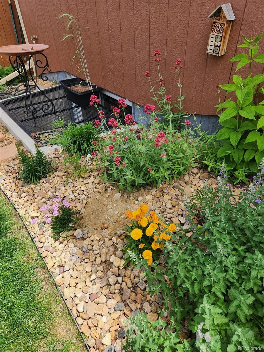 MLS Image #28 for 11510  colony loop,parker, Colorado