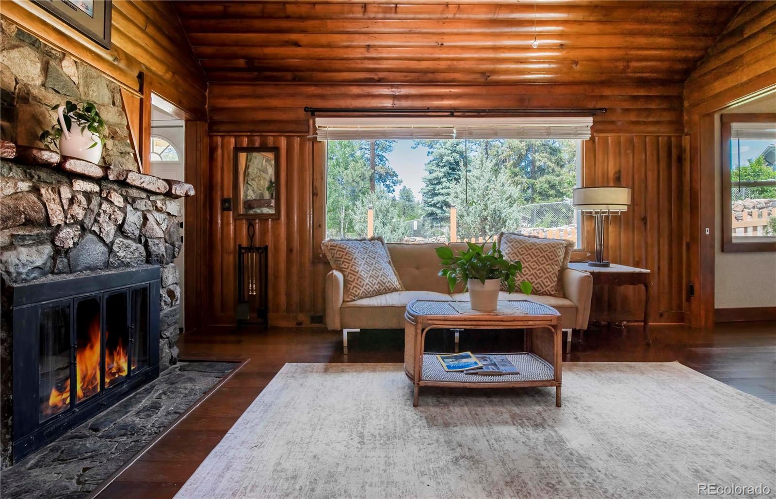 MLS Image #19 for 4805 s blue spruce road,evergreen, Colorado