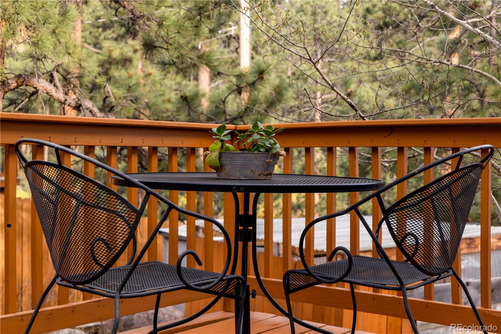 MLS Image #4 for 4805 s blue spruce road,evergreen, Colorado