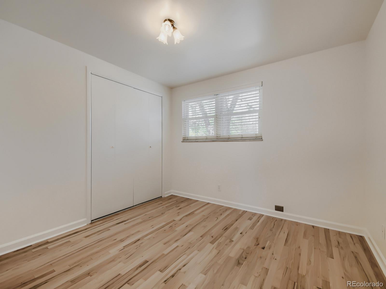 MLS Image #15 for 482  melody drive,northglenn, Colorado