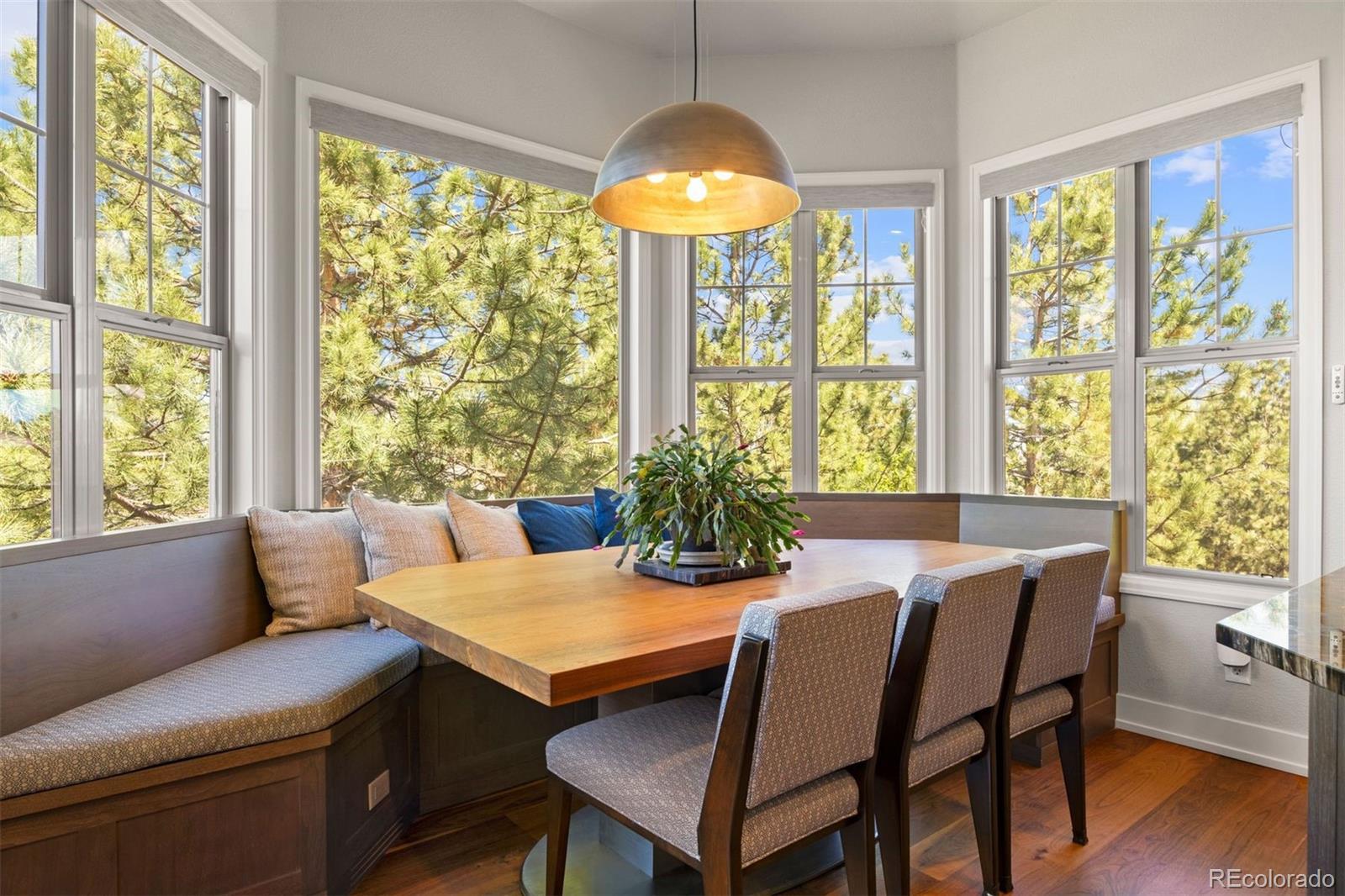 MLS Image #18 for 6269  shavano peak place,castle rock, Colorado