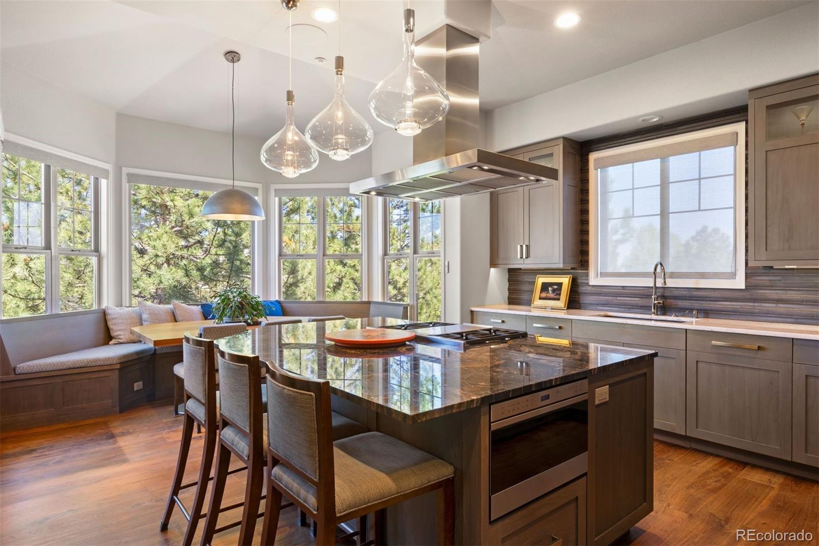 MLS Image #6 for 6269  shavano peak place,castle rock, Colorado