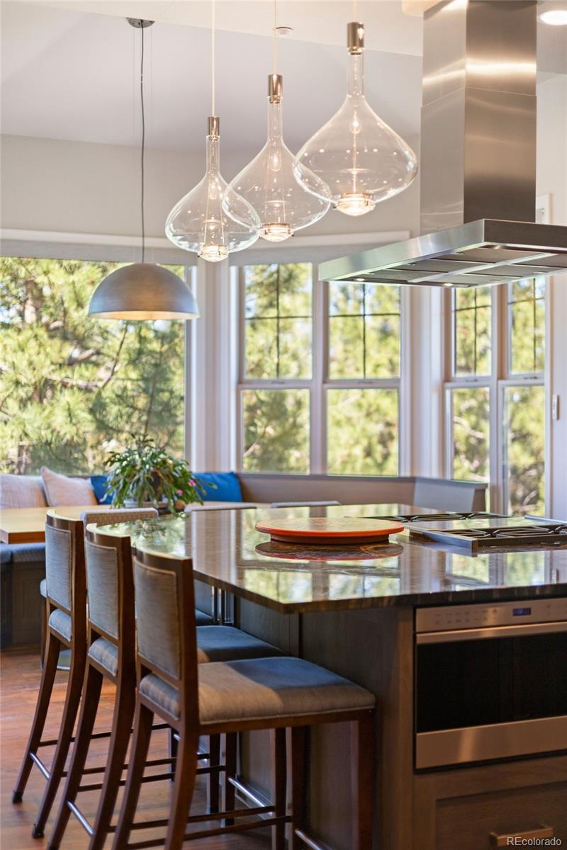 MLS Image #7 for 6269  shavano peak place,castle rock, Colorado