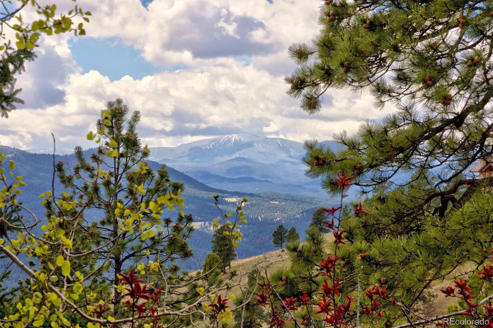 MLS Image #15 for 1952  montane drive,golden, Colorado