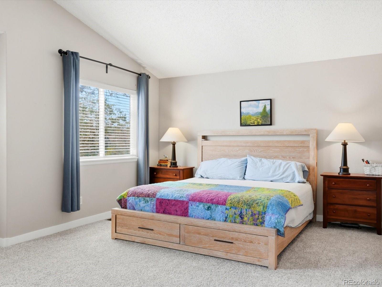 MLS Image #22 for 8771  redwing avenue,littleton, Colorado