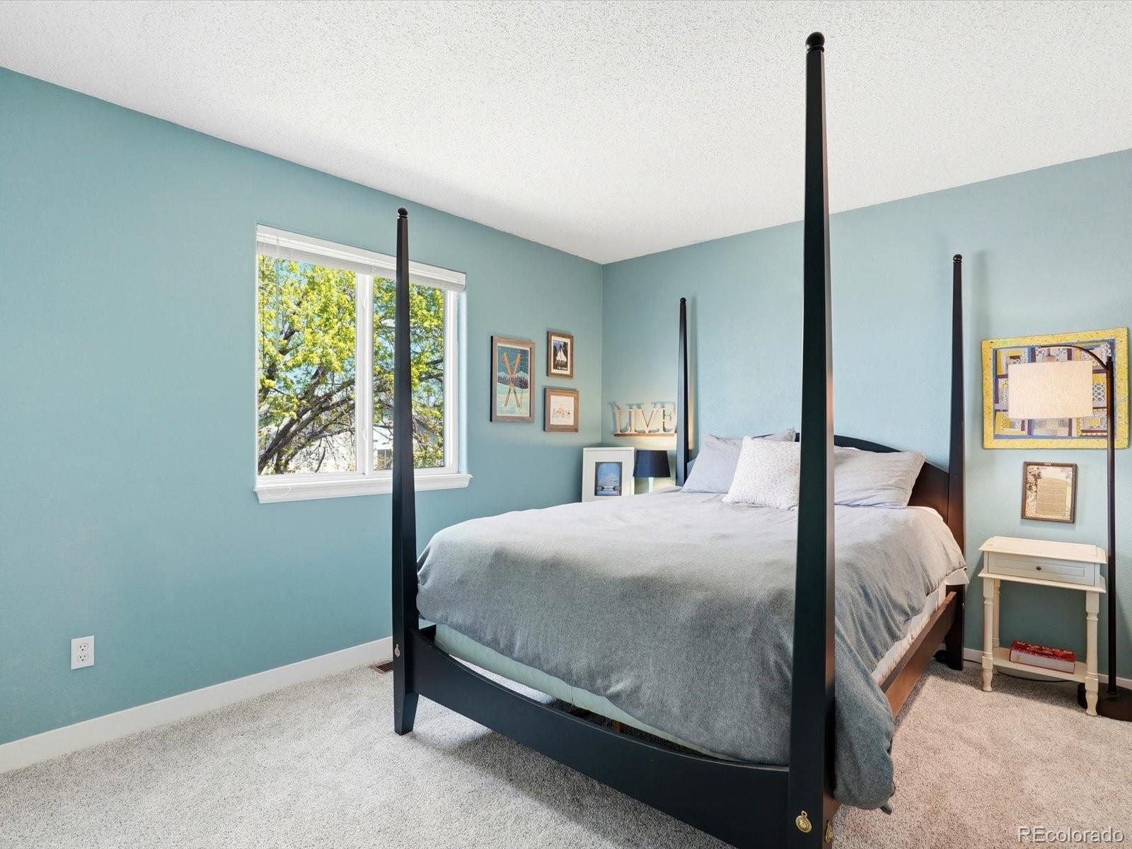 MLS Image #29 for 8771  redwing avenue,littleton, Colorado
