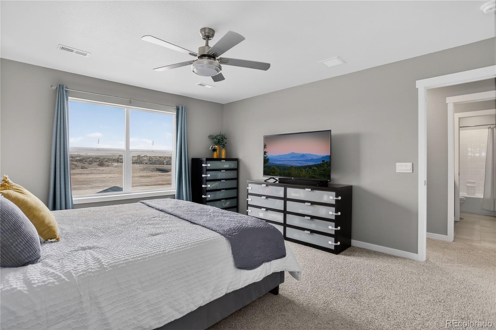 MLS Image #24 for 13891  wild lupine street,parker, Colorado