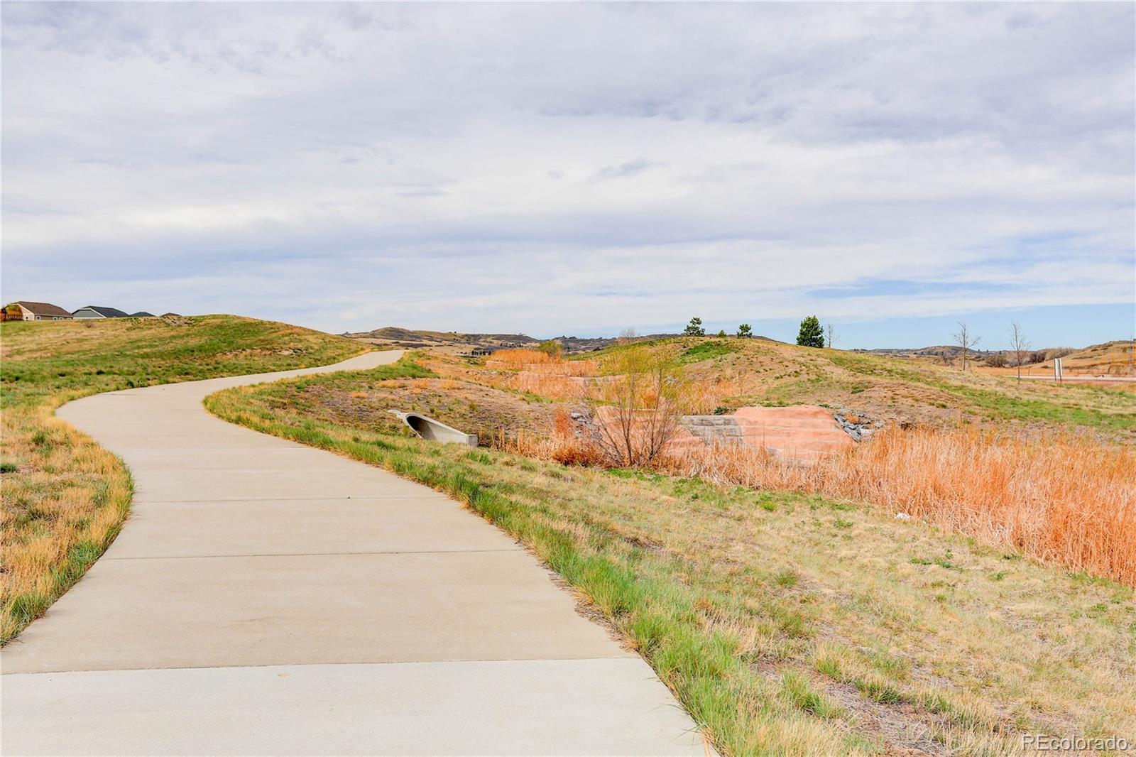 MLS Image #48 for 13891  wild lupine street,parker, Colorado