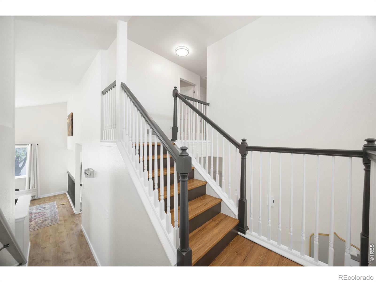 MLS Image #13 for 2536  peppercorn drive,mead, Colorado