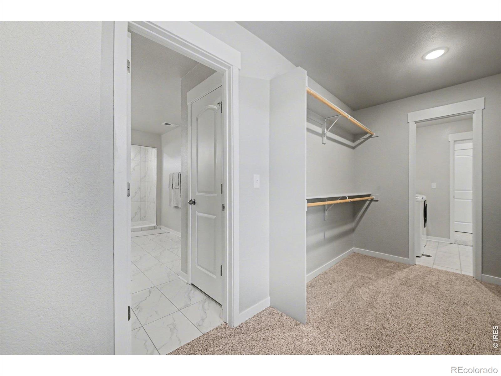 MLS Image #21 for 4490  haymill court,timnath, Colorado
