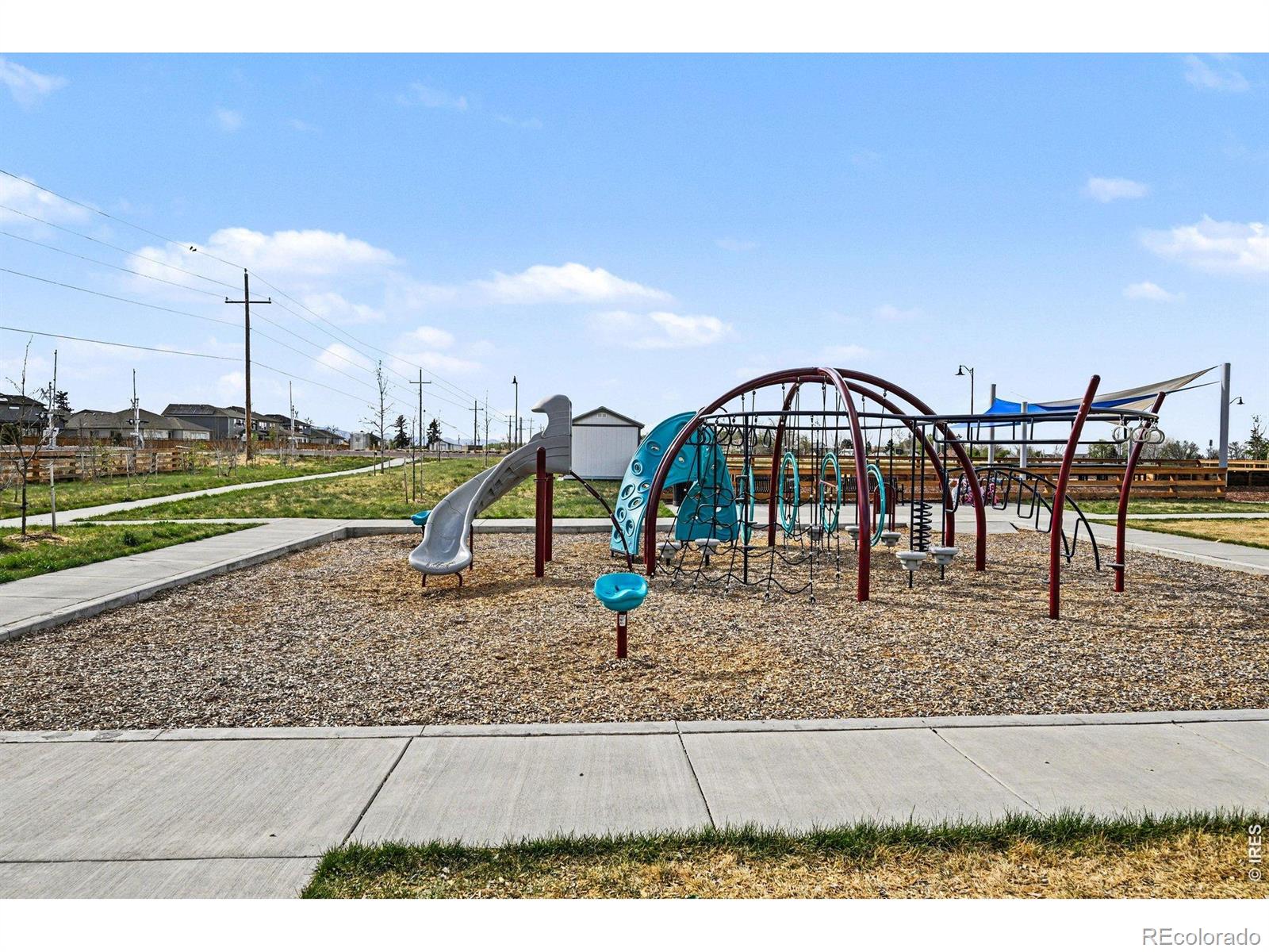 MLS Image #31 for 4490  haymill court,timnath, Colorado