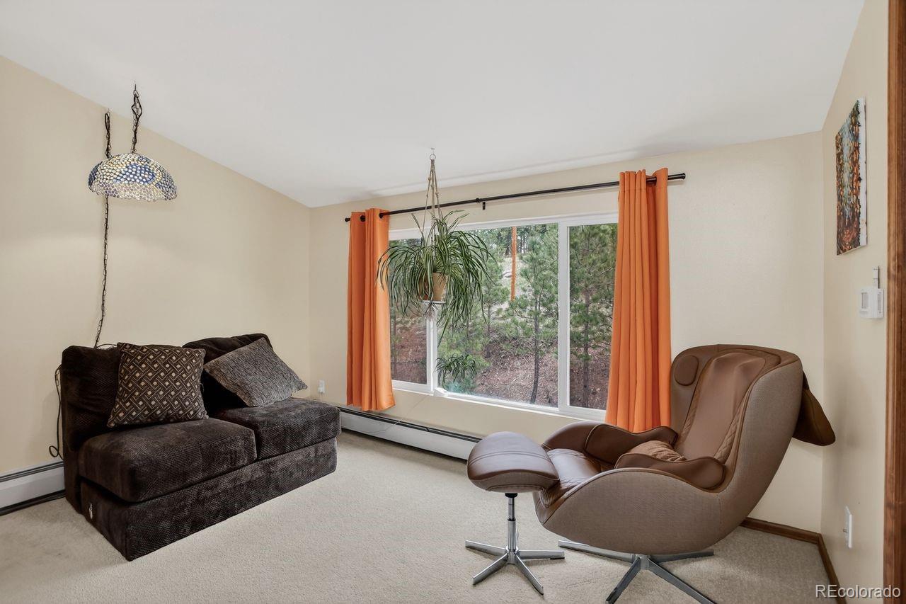 MLS Image #25 for 9053  gray fox drive,evergreen, Colorado