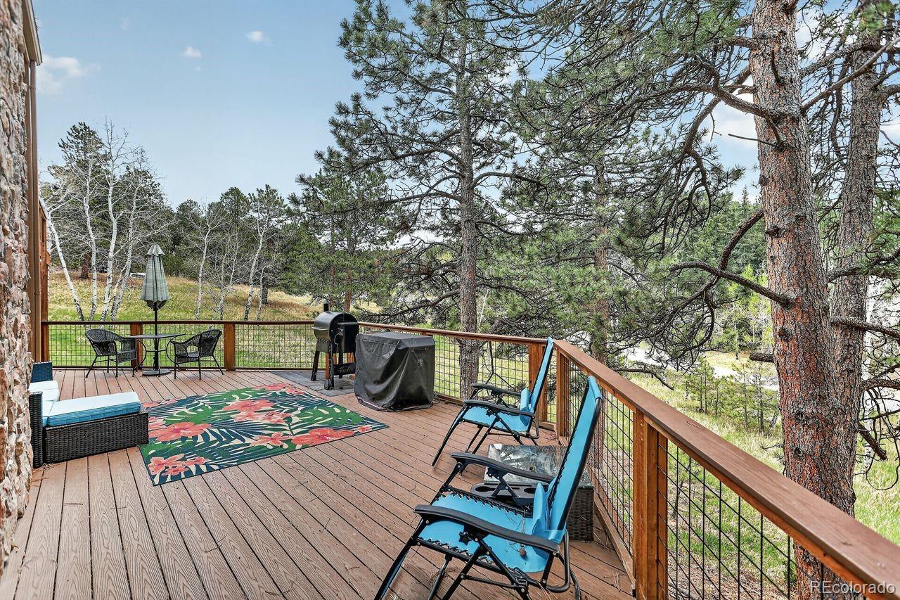 MLS Image #42 for 9053  gray fox drive,evergreen, Colorado