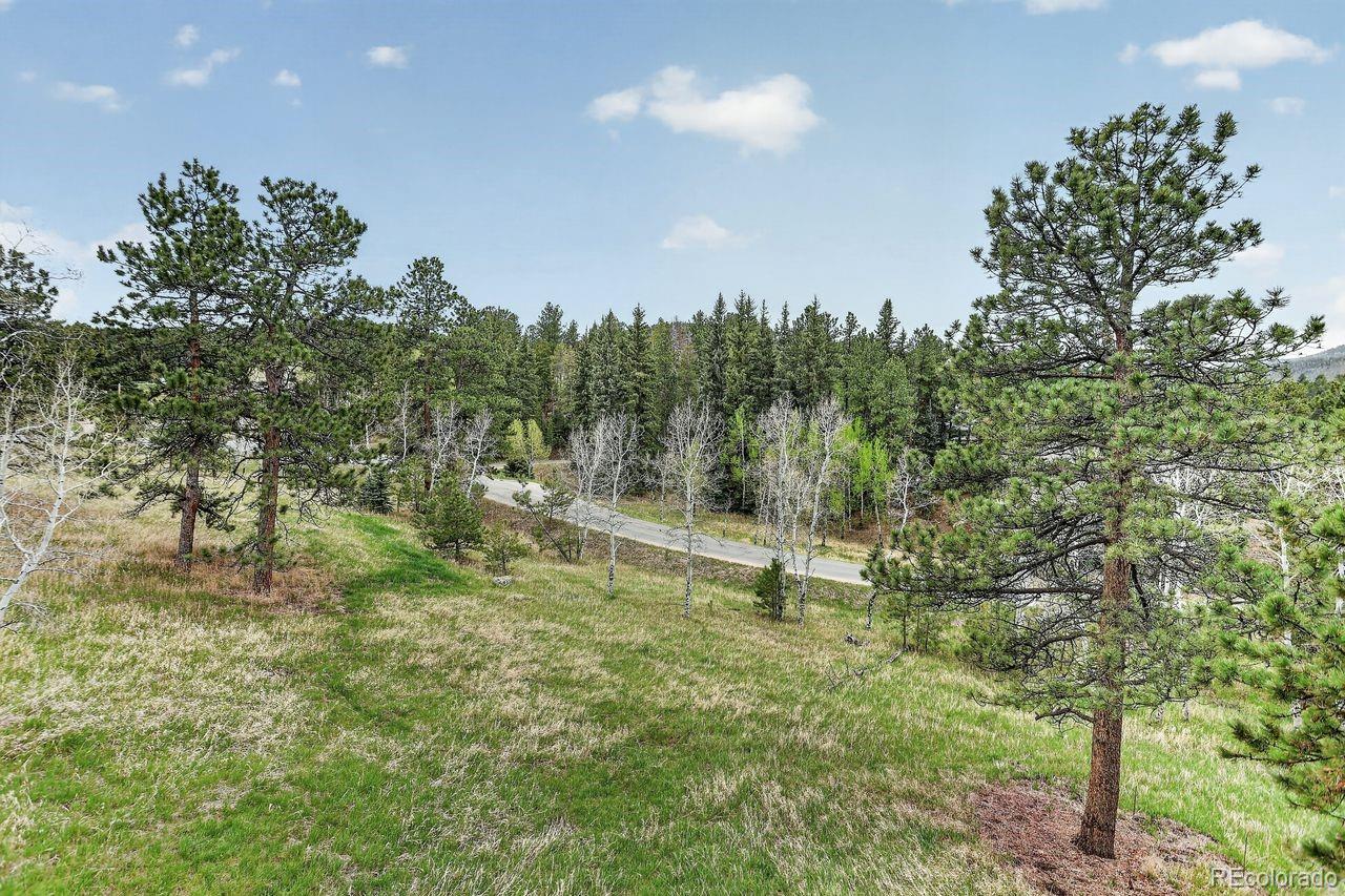MLS Image #48 for 9053  gray fox drive,evergreen, Colorado