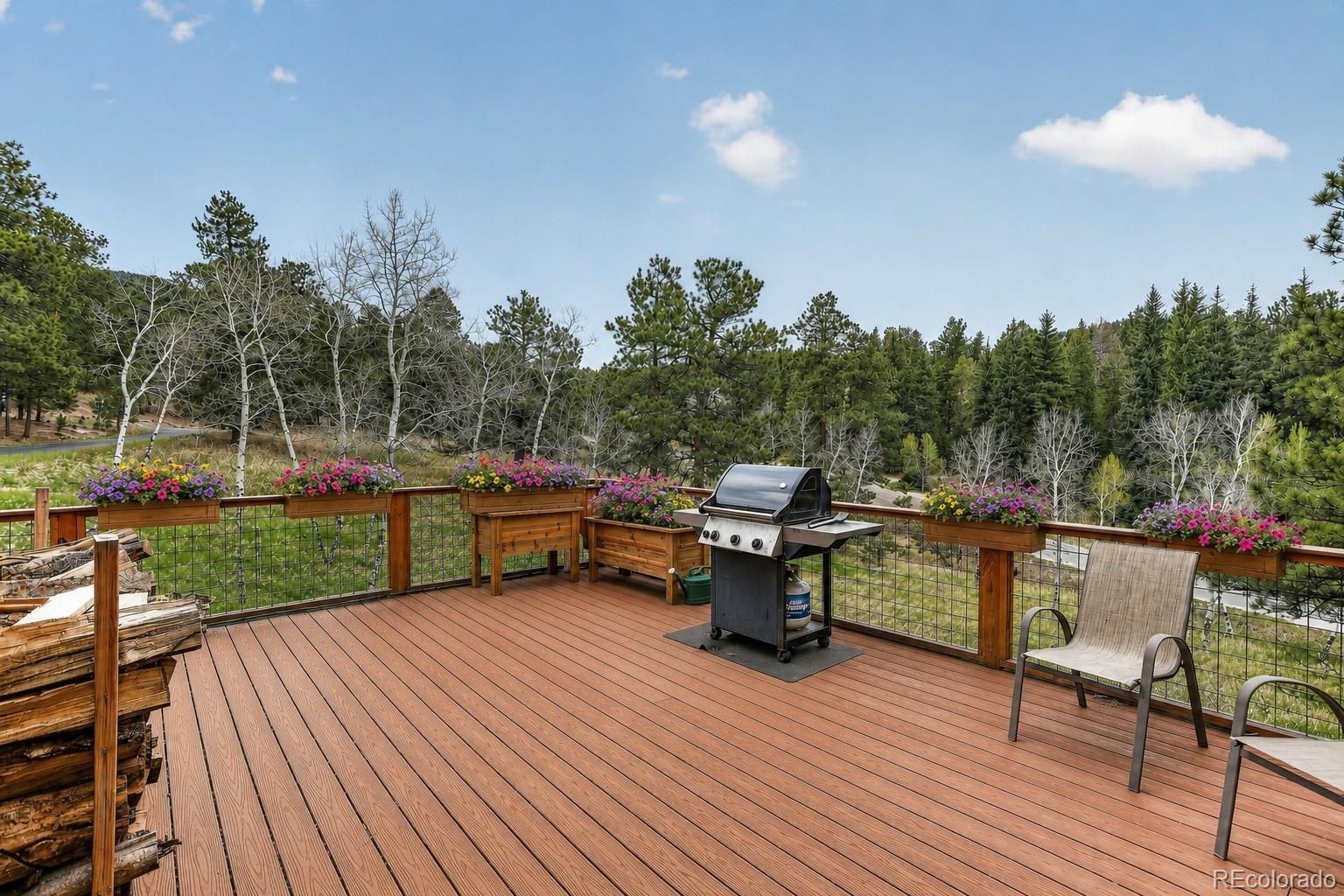 MLS Image #6 for 9053  gray fox drive,evergreen, Colorado