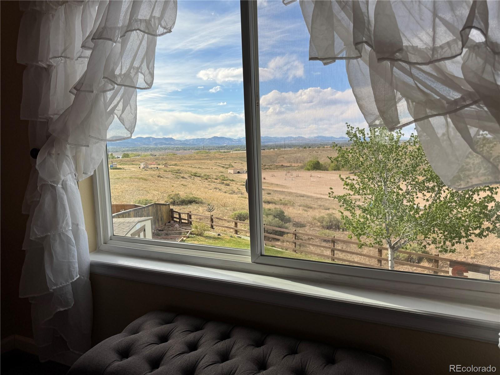 MLS Image #21 for 9818  foxhill circle,highlands ranch, Colorado