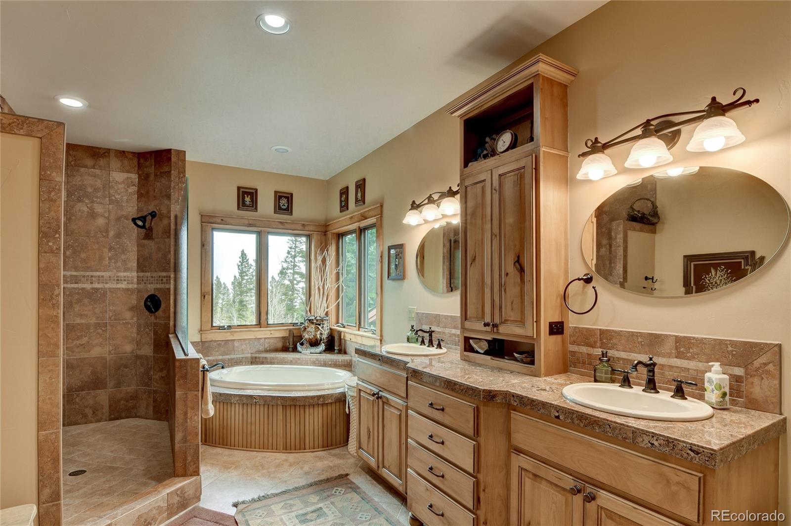 MLS Image #17 for 30460  harvard circle ,buena vista, Colorado
