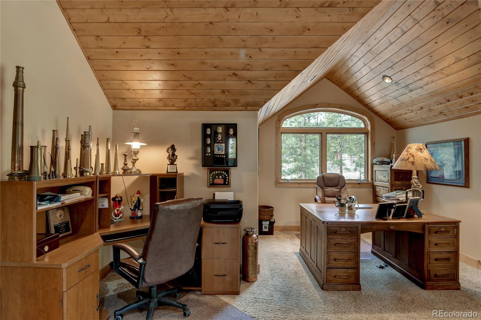 MLS Image #22 for 30460  harvard circle ,buena vista, Colorado