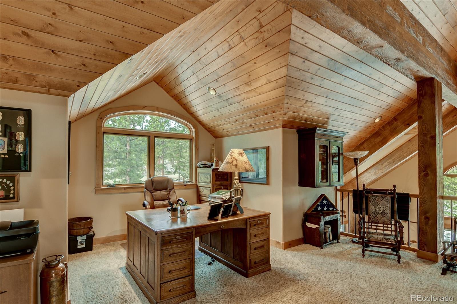 MLS Image #23 for 30460  harvard circle ,buena vista, Colorado