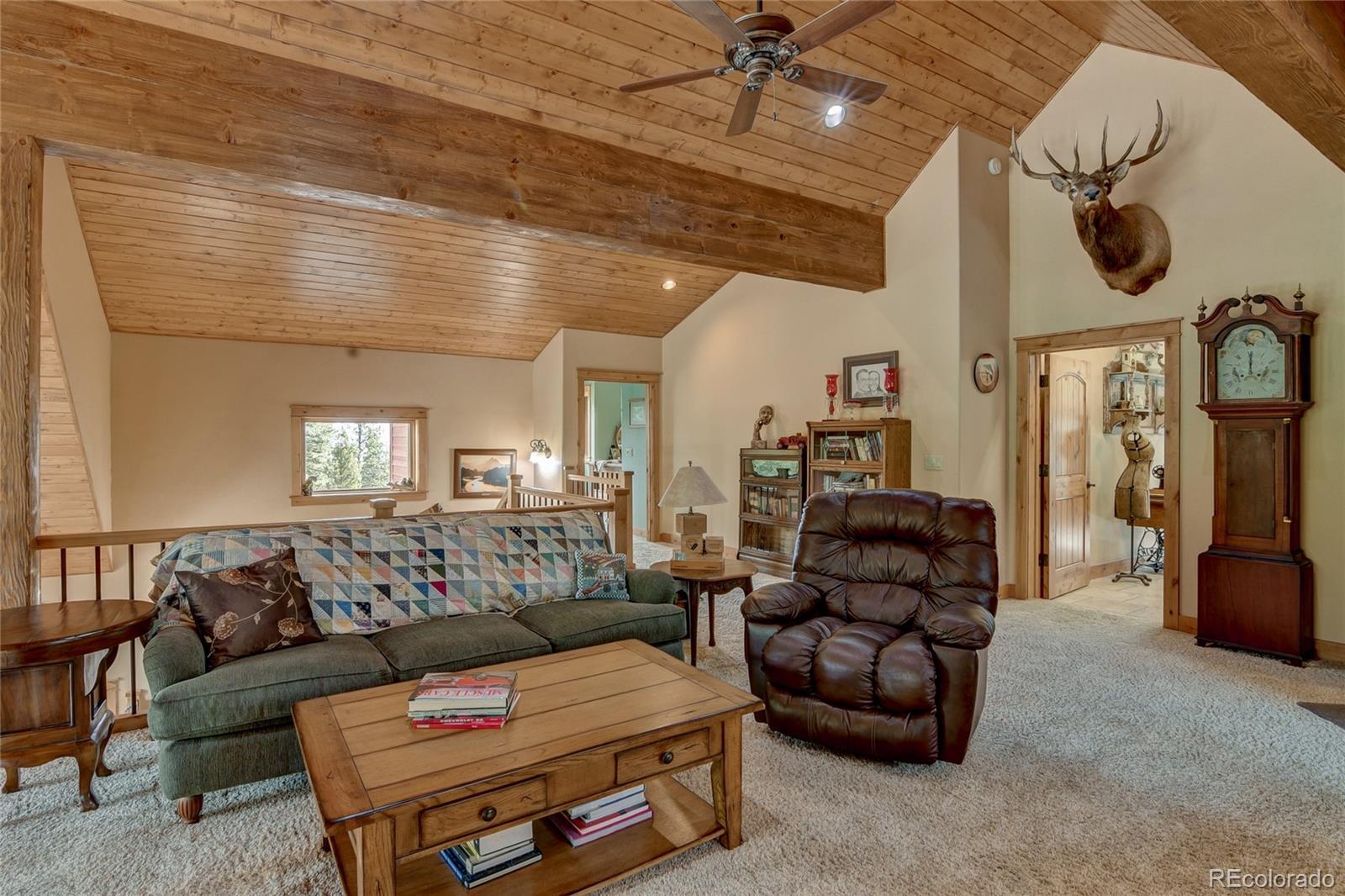MLS Image #24 for 30460  harvard circle ,buena vista, Colorado