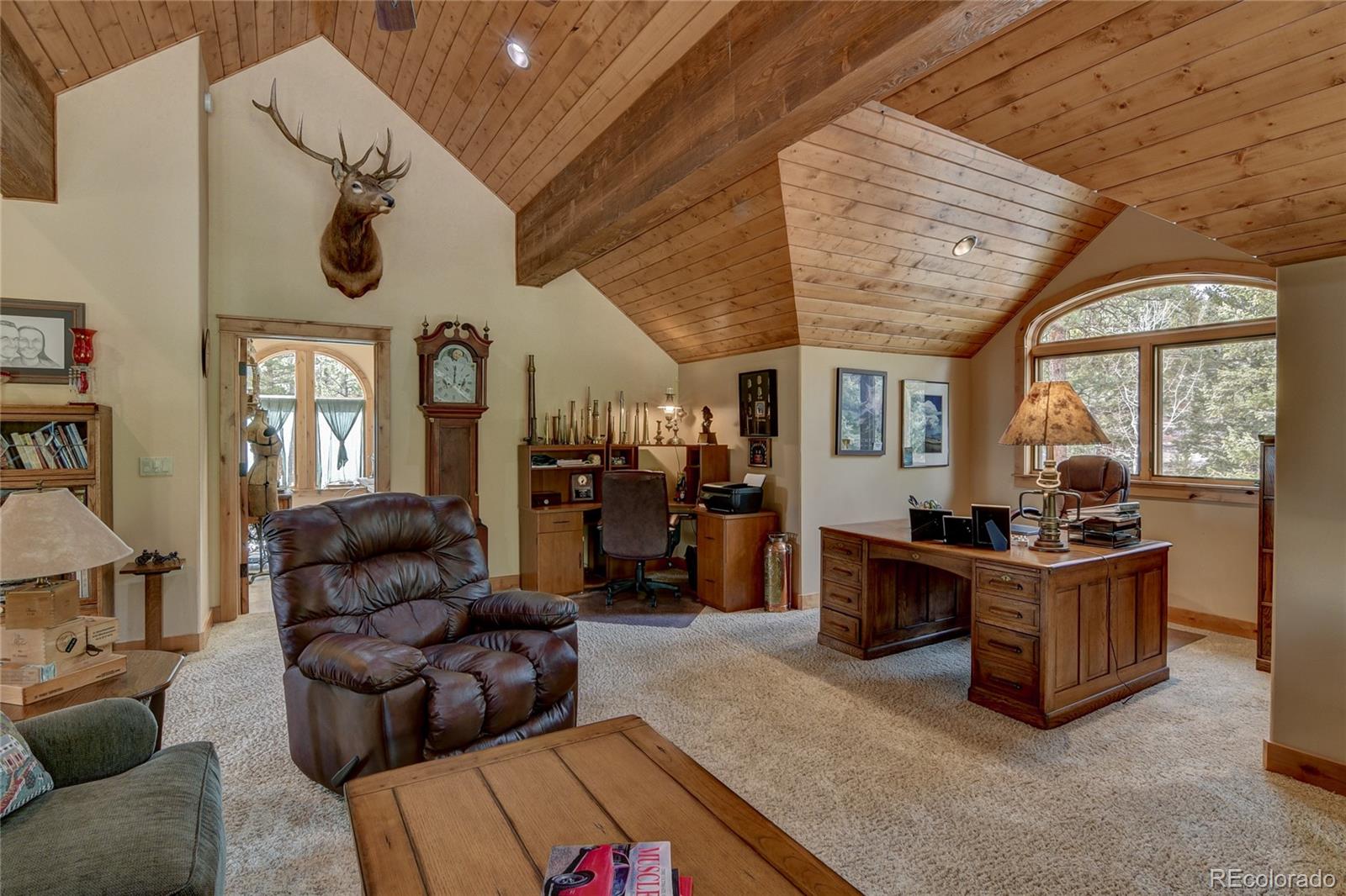 MLS Image #25 for 30460  harvard circle ,buena vista, Colorado