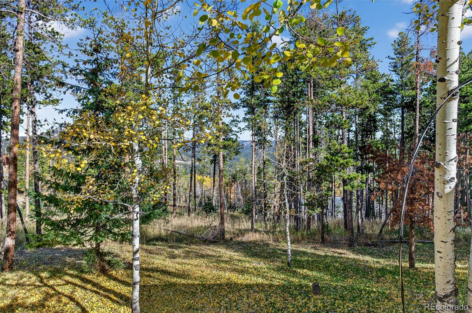 MLS Image #31 for 20341  maxwell drive,morrison, Colorado