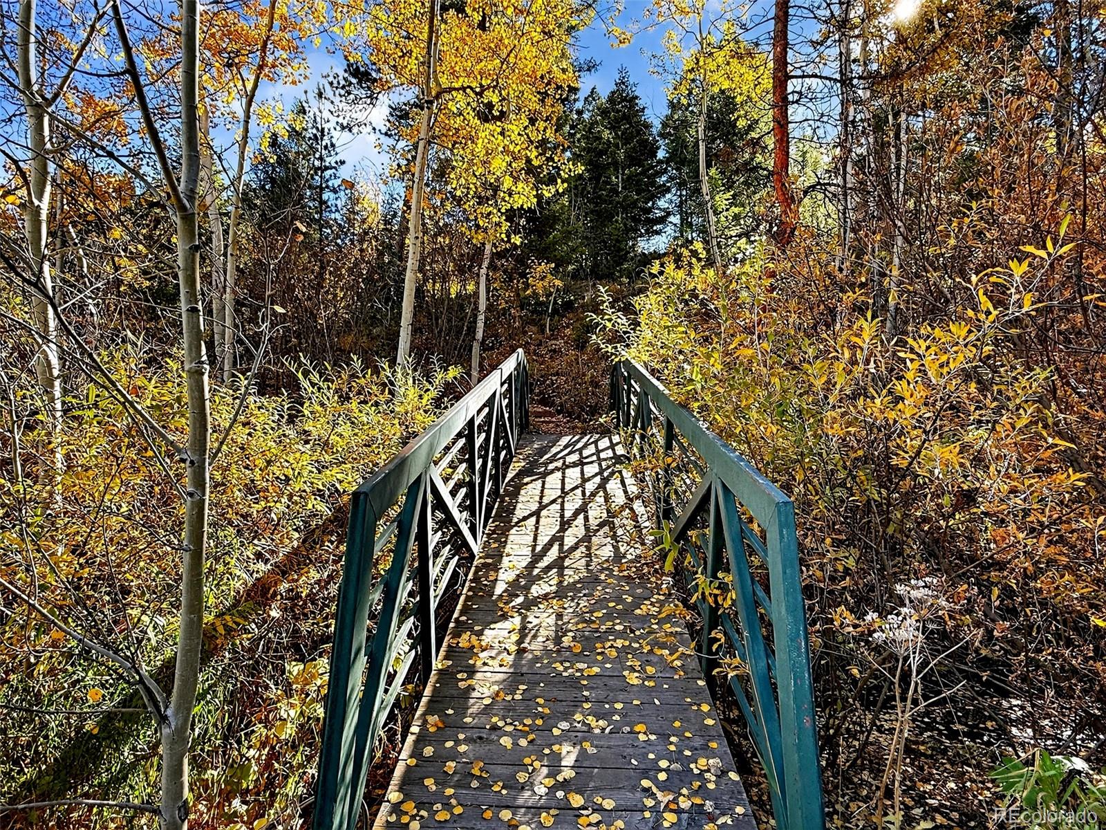 MLS Image #49 for 20341  maxwell drive,morrison, Colorado