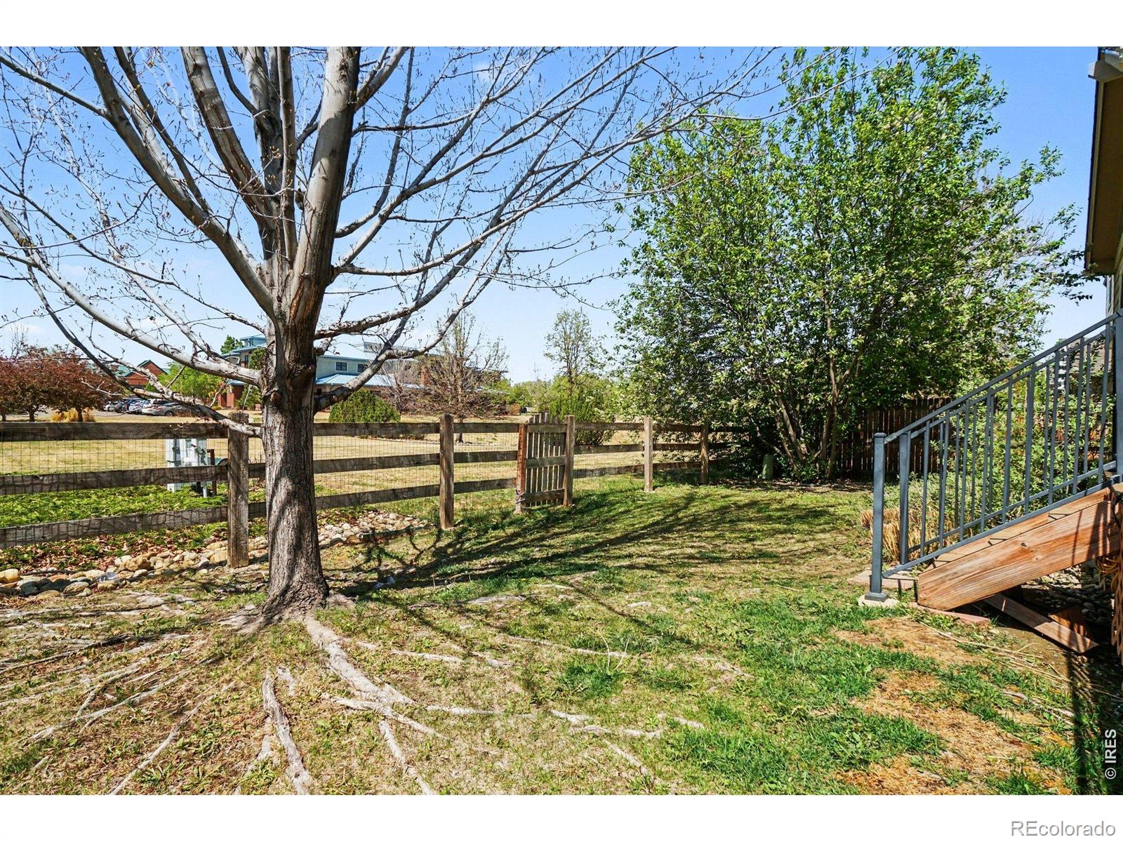 MLS Image #19 for 1893  trevor circle,longmont, Colorado