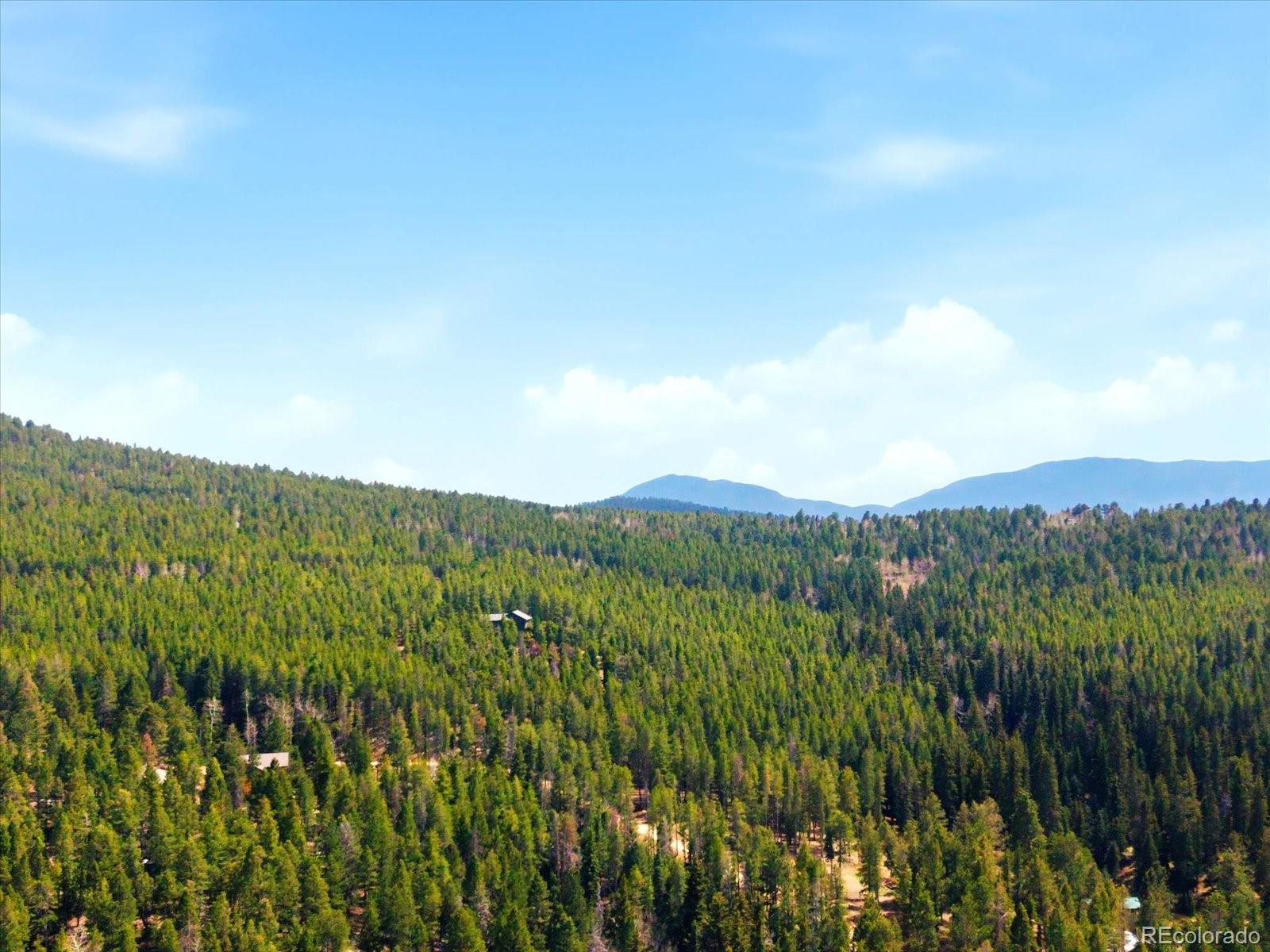 MLS Image #42 for 28084  meadow trail,conifer, Colorado