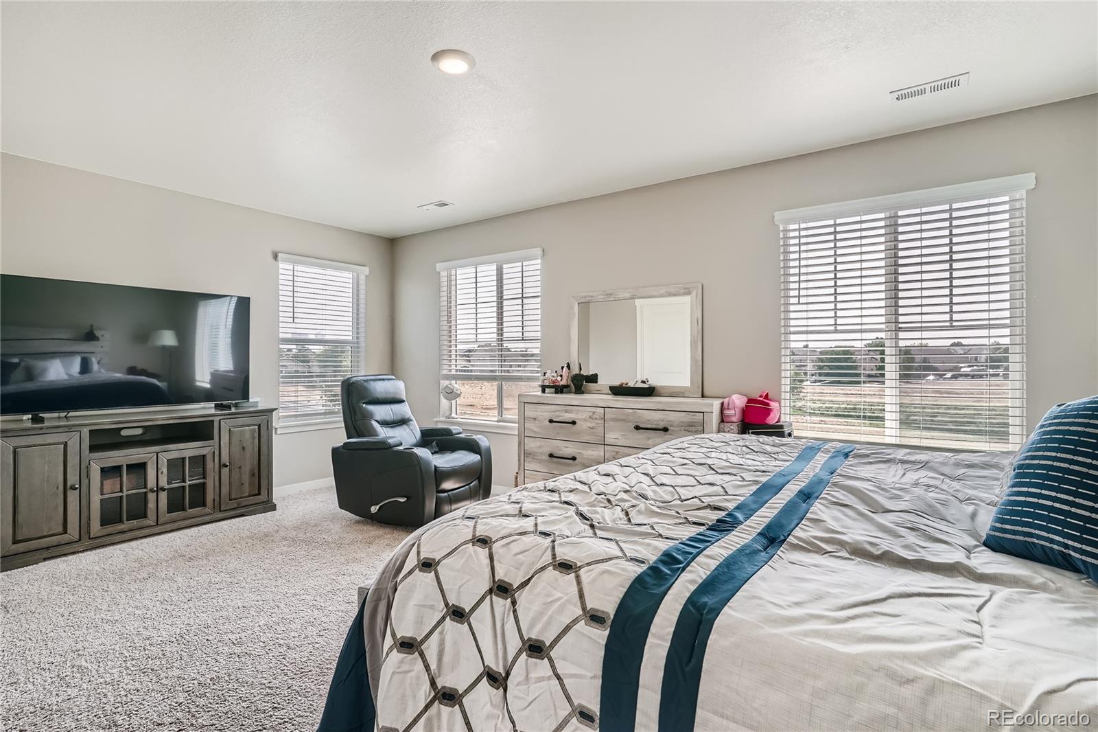 MLS Image #15 for 274 n 45th avenue,brighton, Colorado