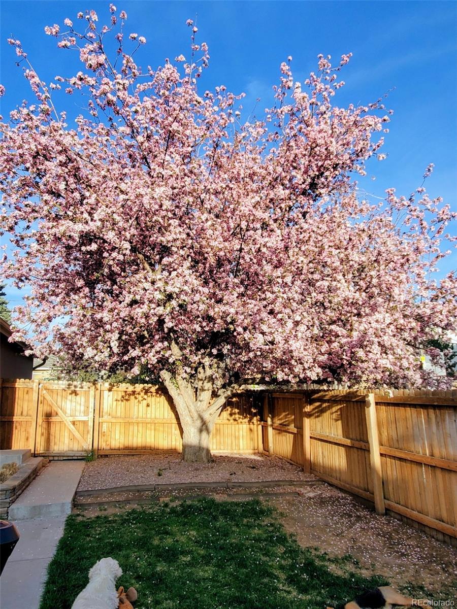 MLS Image #43 for 1996 s downing street,denver, Colorado