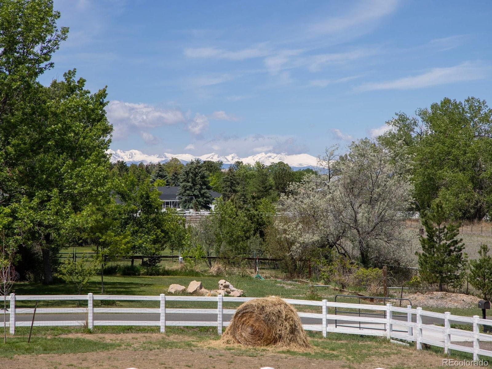 MLS Image #6 for 15288  navajo street,broomfield, Colorado