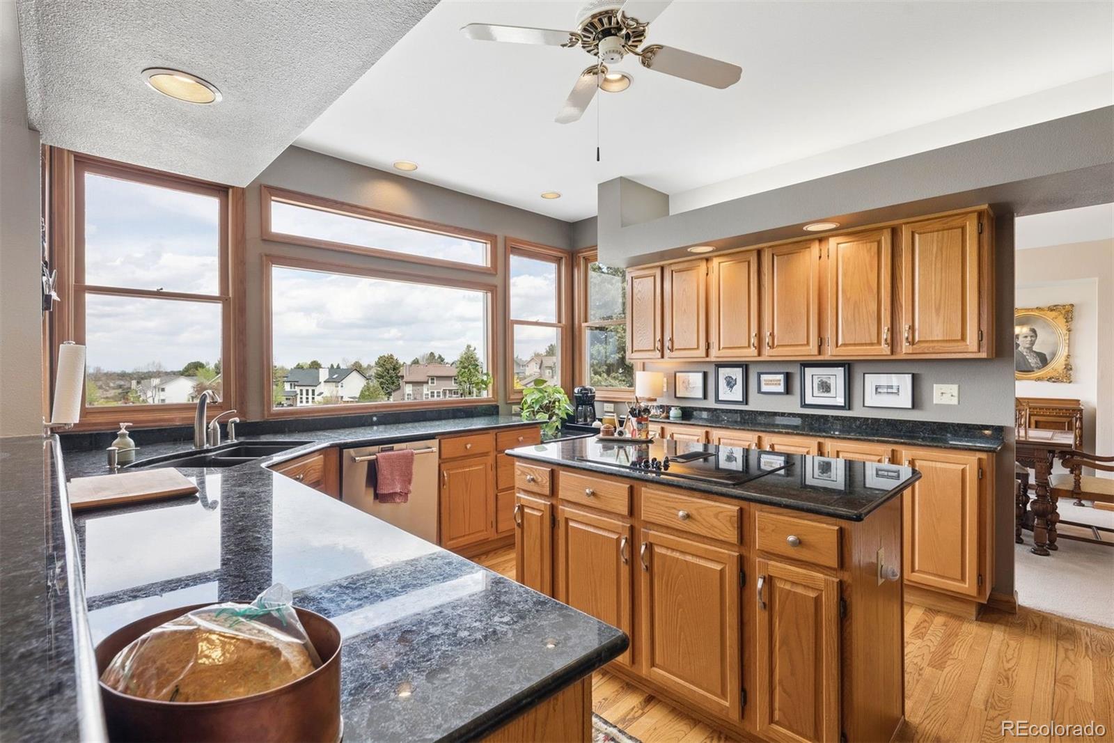 MLS Image #9 for 9510  harford court,highlands ranch, Colorado