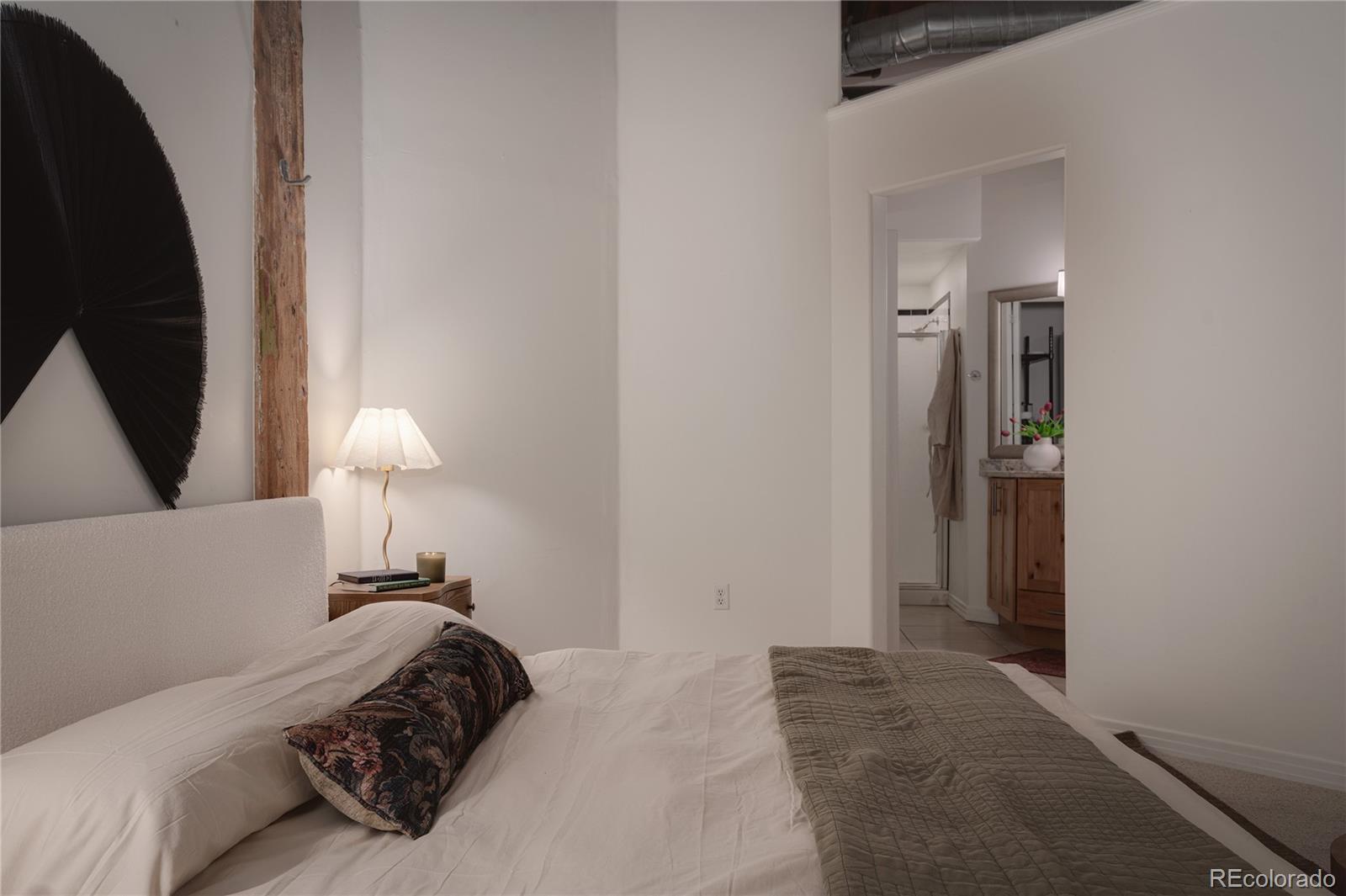 MLS Image #18 for 1127  auraria parkway,denver, Colorado