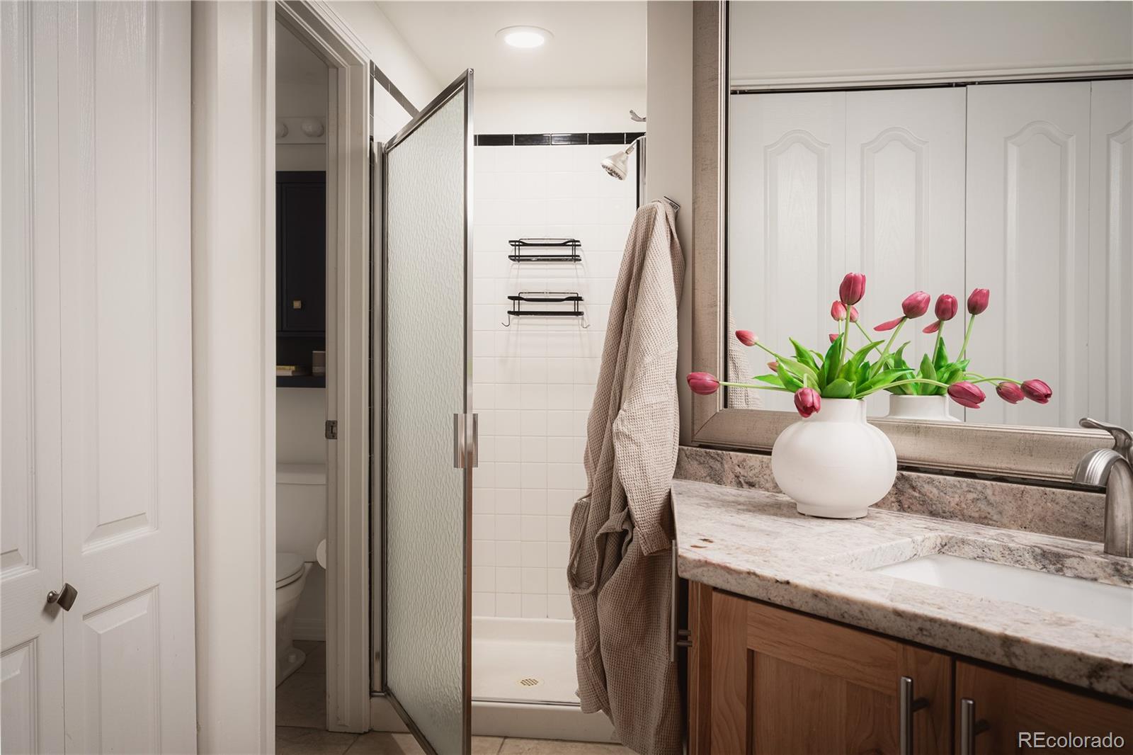 MLS Image #21 for 1127  auraria parkway,denver, Colorado